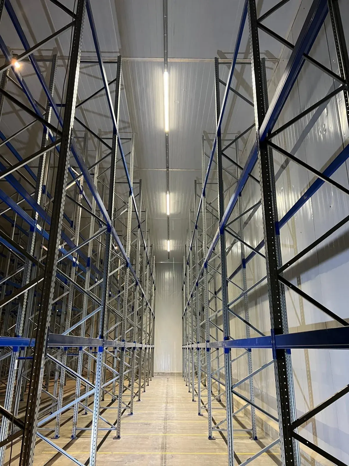 1.024 Palettenplätze auf 700 m² für die Tiefkühllogistik – Projektansicht 3