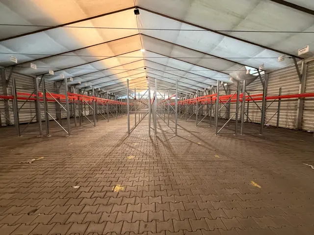 5.600 Palettenplätze für einen neuen Logistikstandort – Projektansicht 6